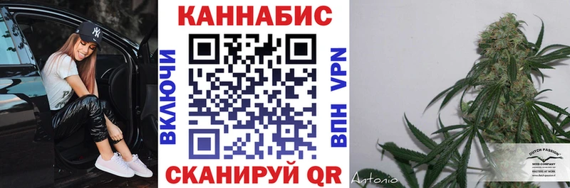 blacksprut онион  Киренск  Бошки Шишки семена 